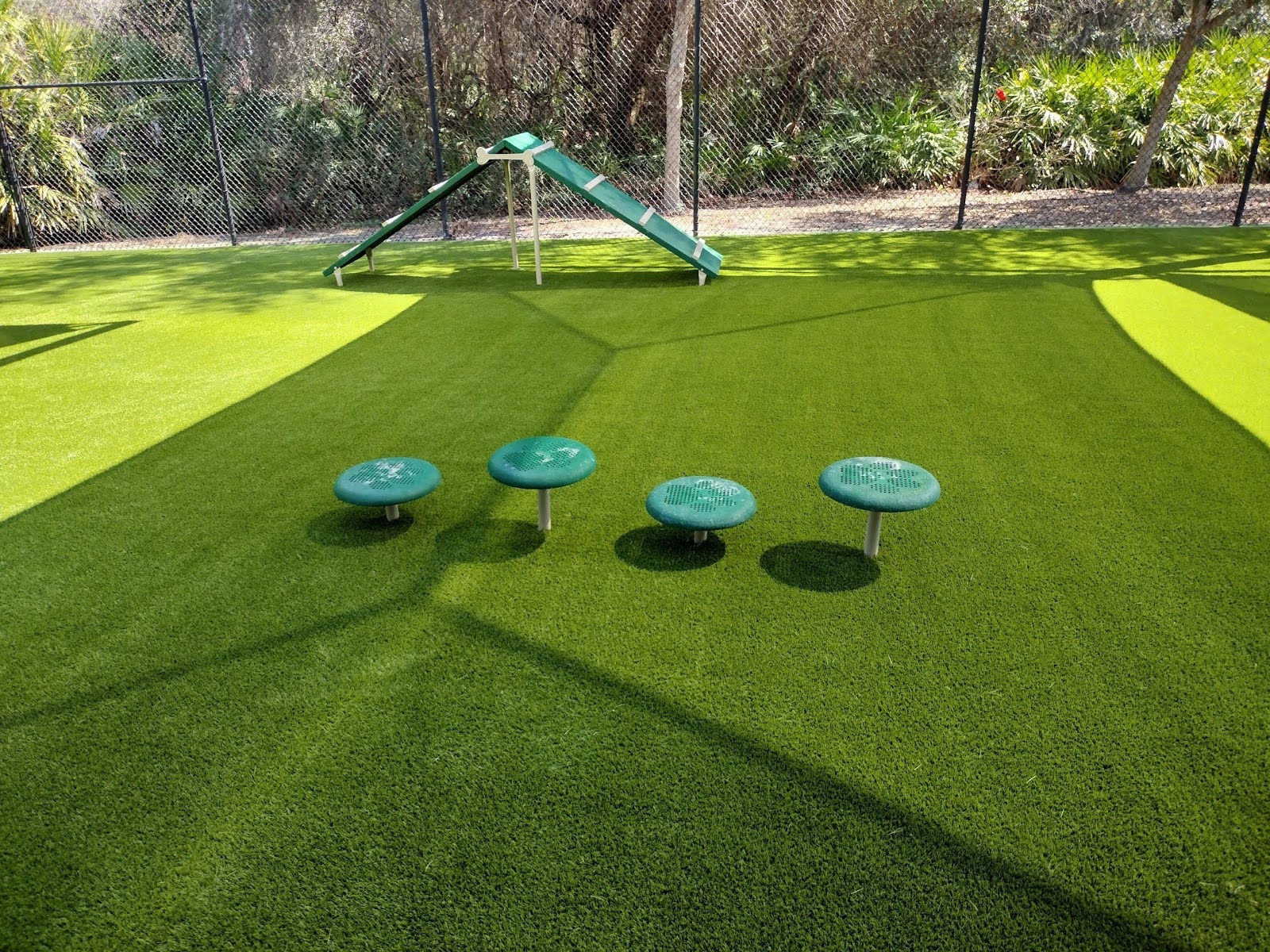 Artificial Grass Wesley Chapel