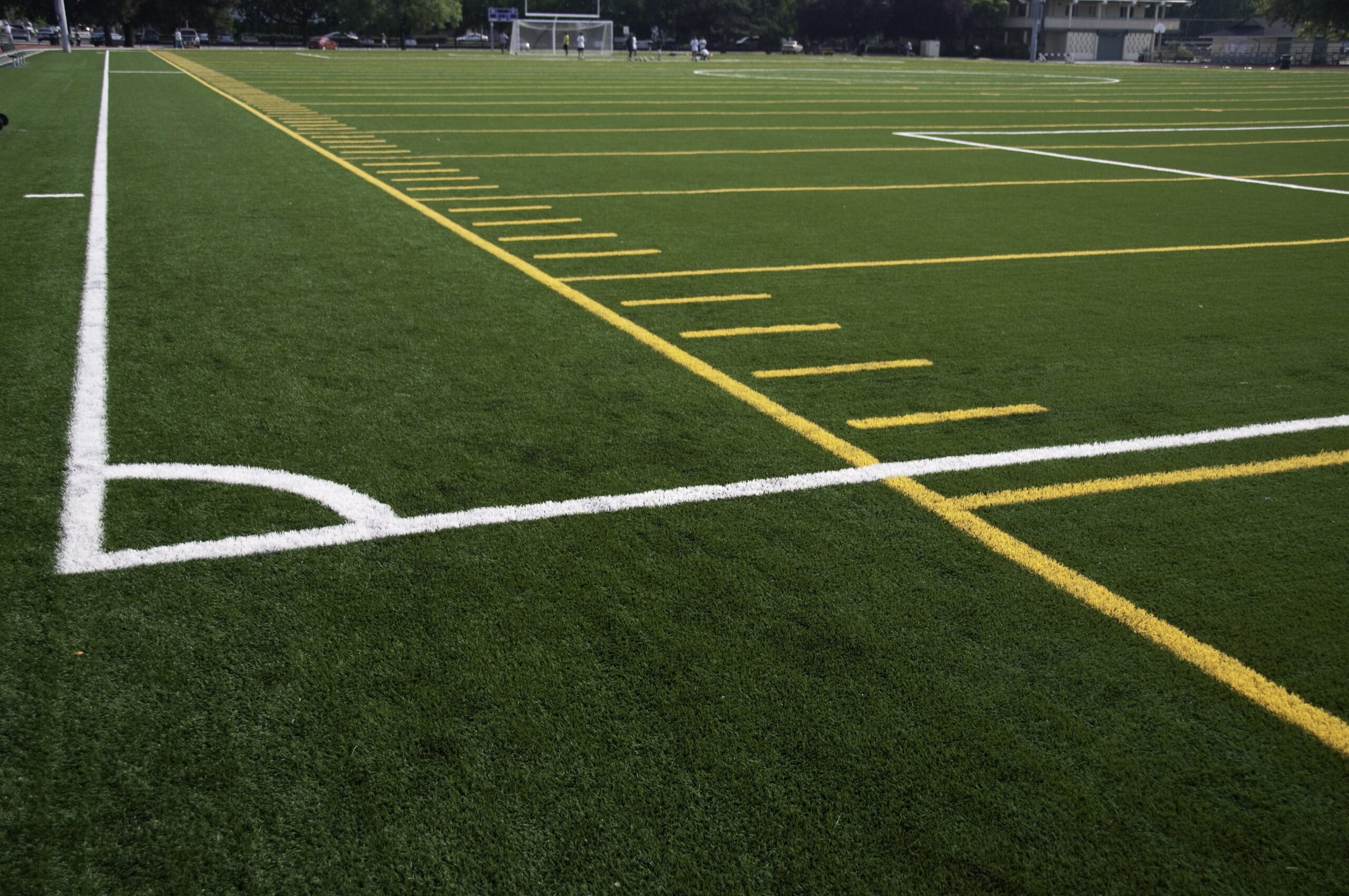 artificial turf for sports field