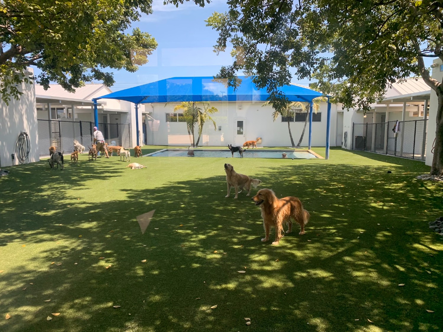 Dog Care Vet Center 1500