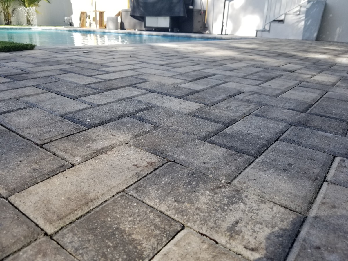 Pool Paver Installation