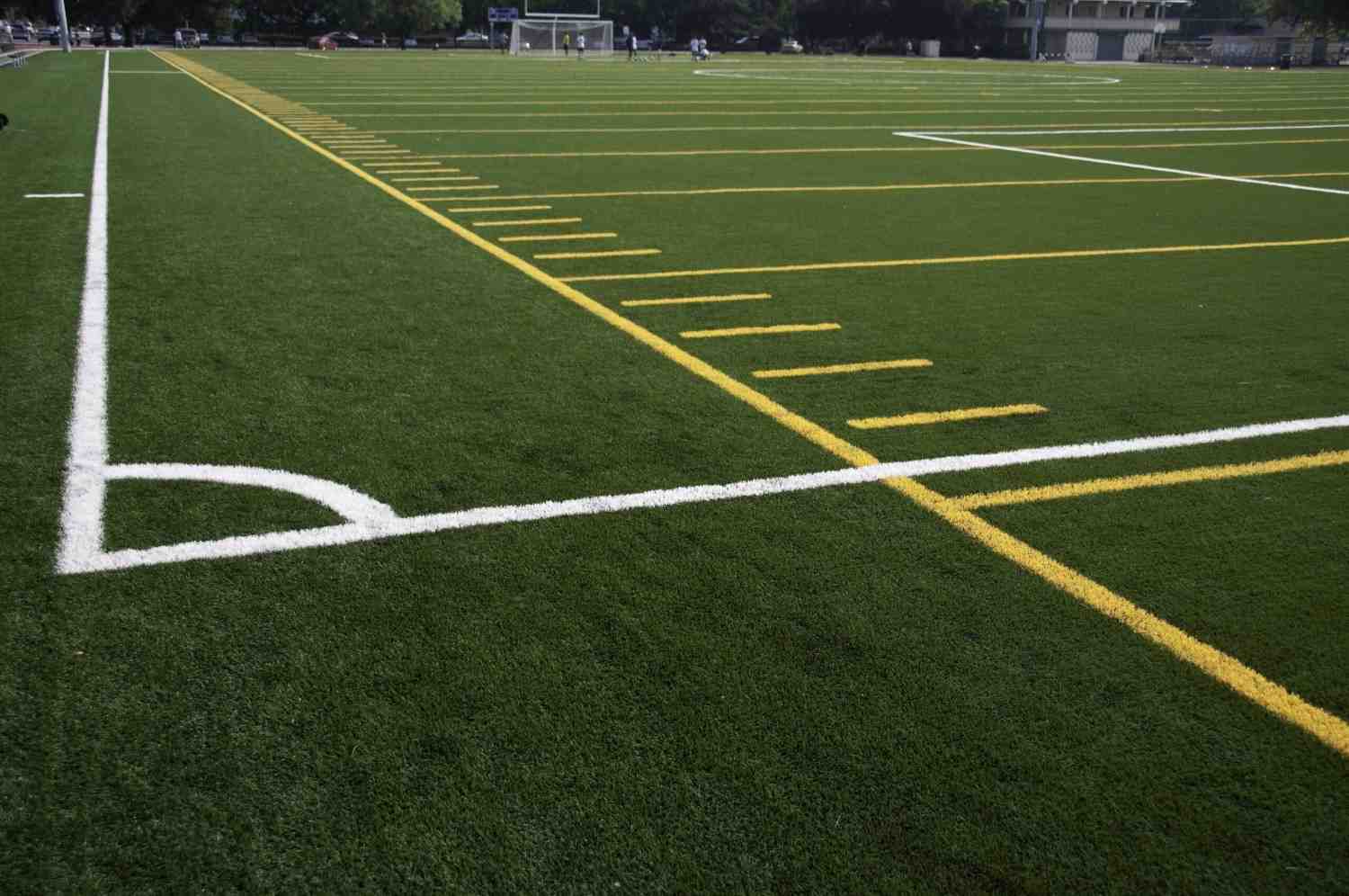 Artificial Grass Lake Nona
